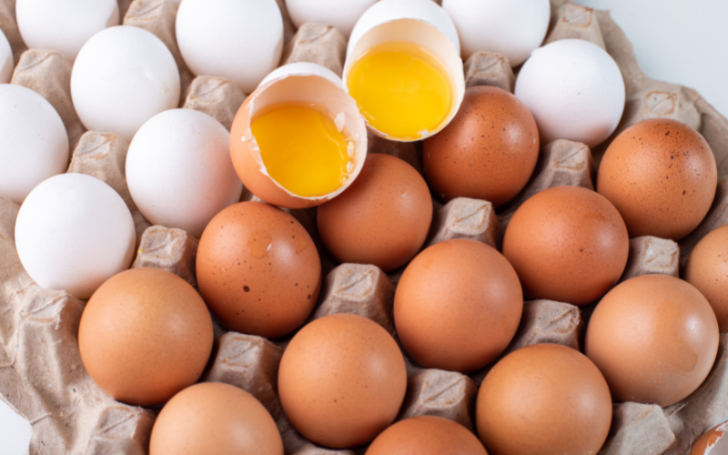 Inflação dos alimentos Preço do ovo atinge recorde no Japão