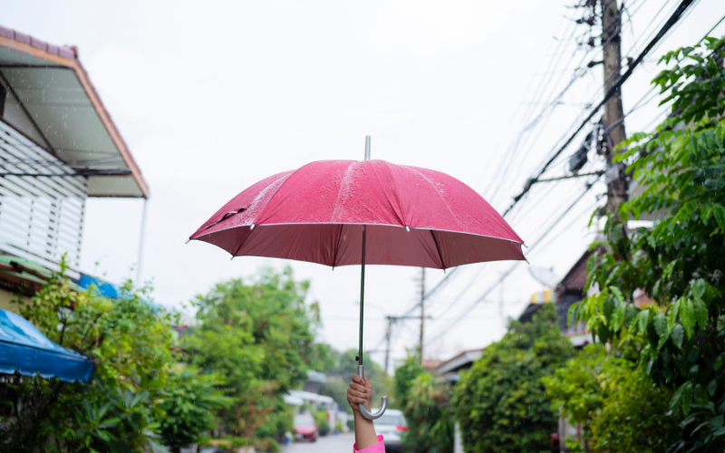 Confira dicas para se preparar para a estação das chuvas no Japão