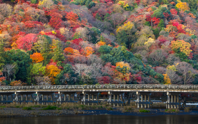 A bela folhagem de outono do Japão pode chegar mais tarde do que o normal