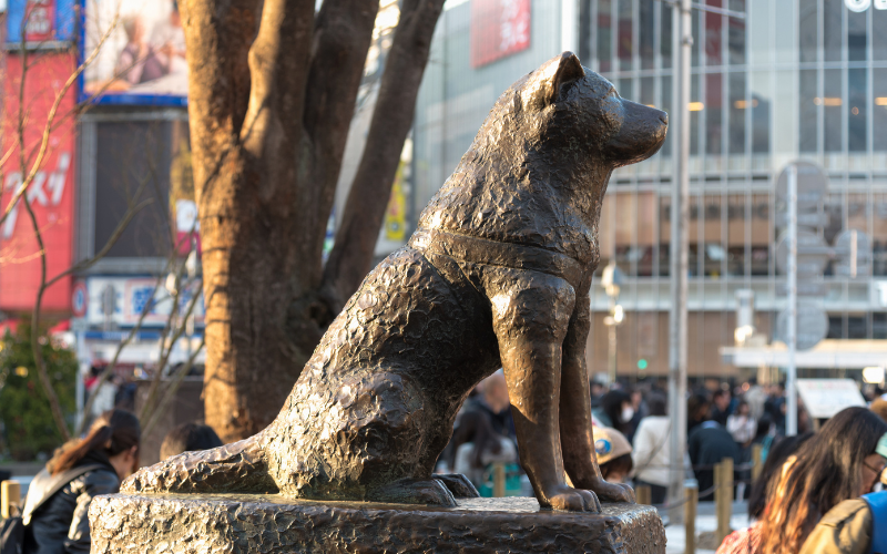 Hachiko: estátua do "cão mais fiel do mundo" é exibida em um quarto pop-up em Tóquio
