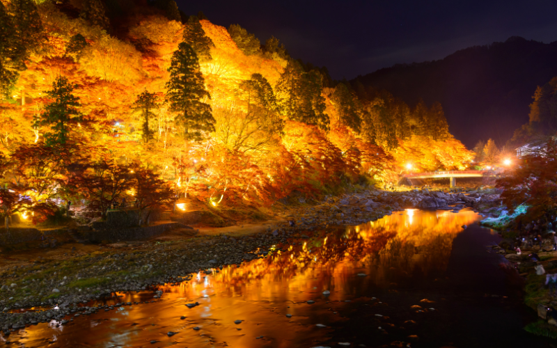 Kōrankei: um dos mais belos locais para ver as folhas de outono em Aichi