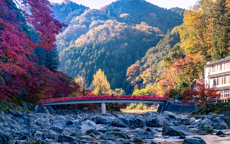 Kōrankei: um dos mais belos locais para ver as folhas de outono em Aichi