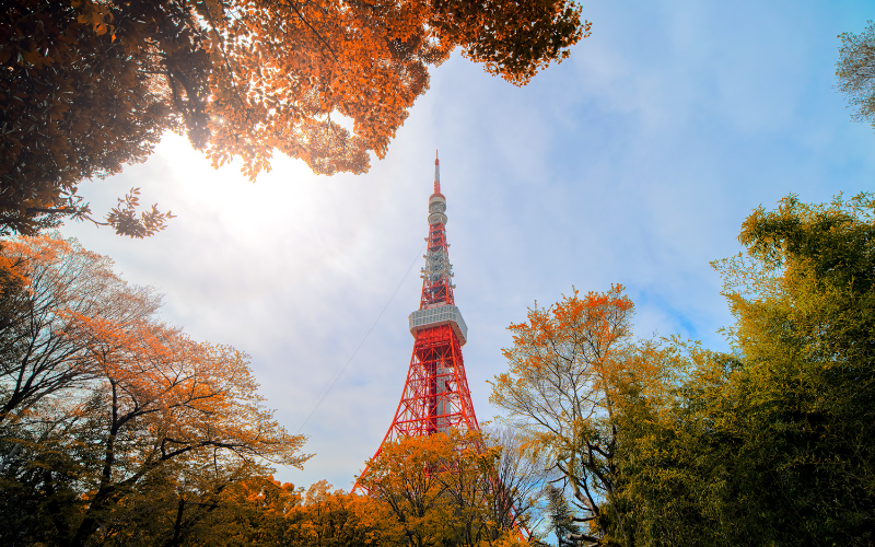Tóquio registra a maior temperatura de novembro em cerca de 100 anos