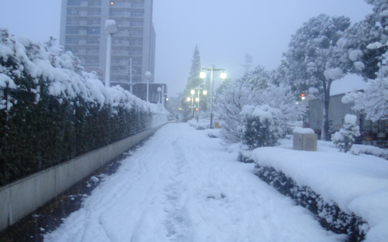 Agência Meteorológica emite alerta de fortes nevascas no Japão, incluindo na região de Tokai
