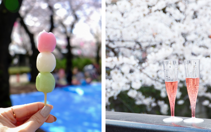 Guia completo para aproveitar a temporada das sakuras no Japão