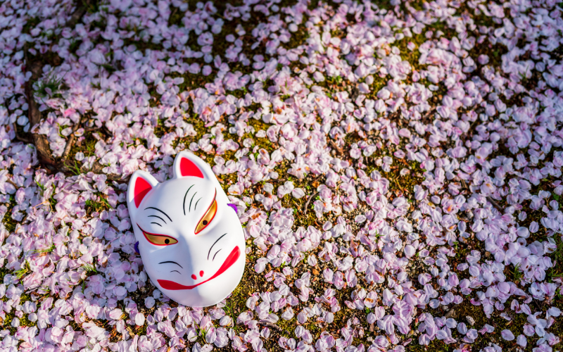 Guia completo para aproveitar a temporada das sakuras no Japão