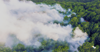 Incêndio florestal perdura em Yamagata: Helicópteros das Forças de Autodefesa em Ação