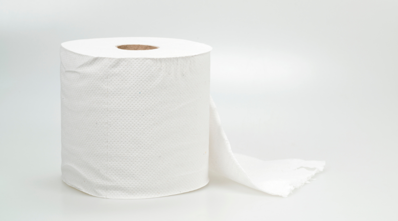 Japão venderá o primeiro papel higiênico do mundo feito de fraldas usadas