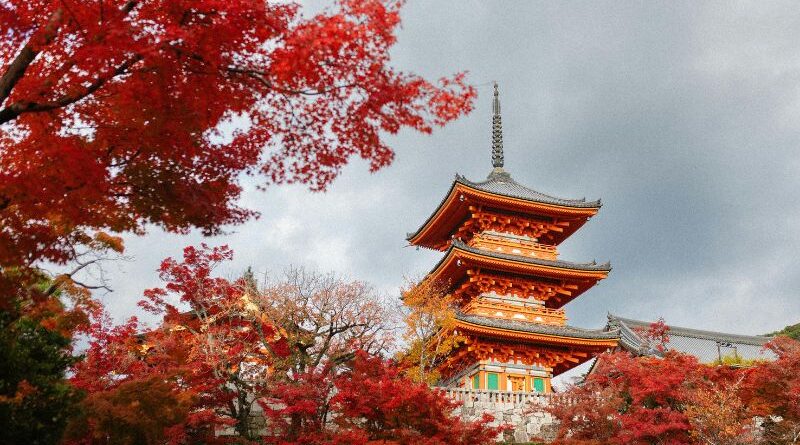 taxa de turismo no Japão