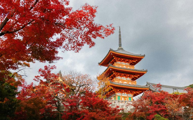 taxa de turismo no Japão